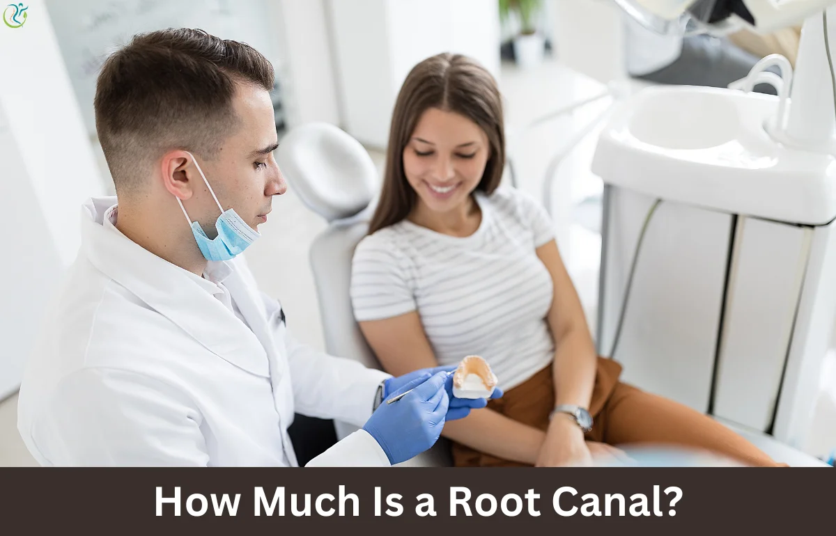 How Much Is a Root Canal?