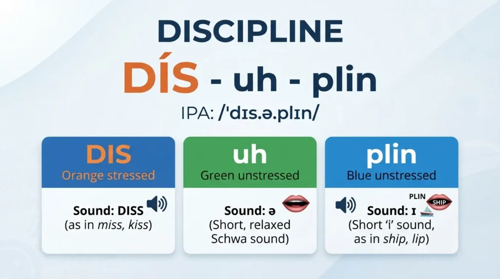 Visual pronunciation guide showing how to pronounce discipline as DIS-uh-plin with the three syllables clearly separated and the first syllable stressed