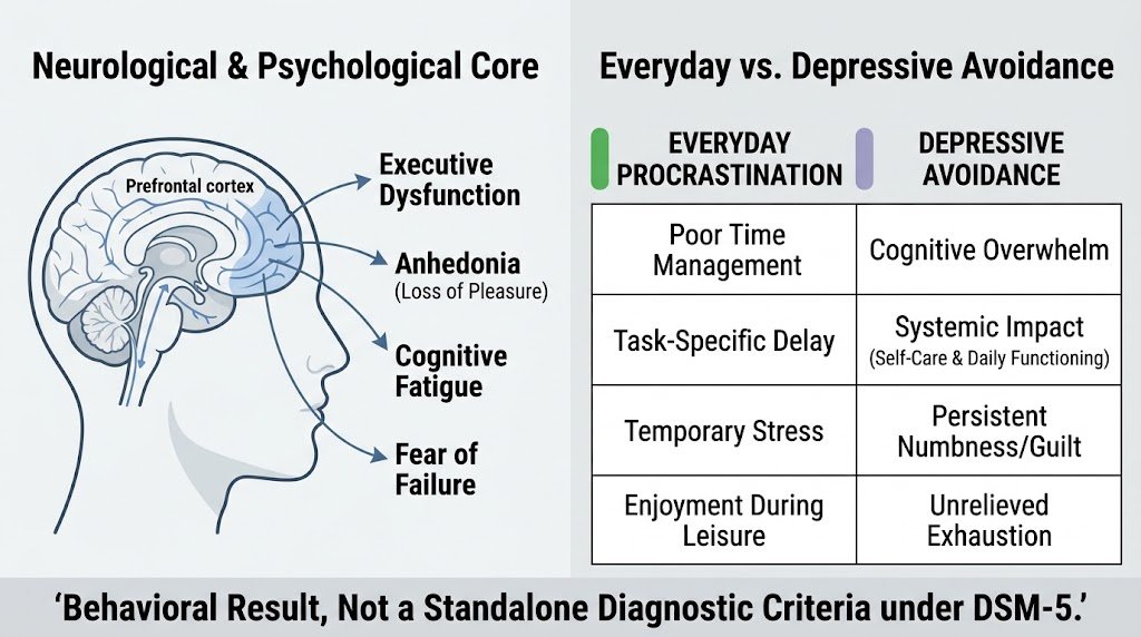 Diagram illustrating the connection between procrastination and clinical depression, contrasting executive dysfunction with ordinary task delay.