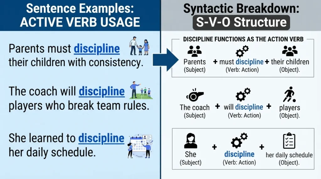 An annotated grammar whiteboard showing sentence examples and structural breakdowns of the word discipline functioning actively as a verb.